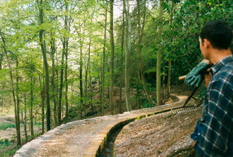 Hestercombe Gardens: the leet appears to run uphill ...